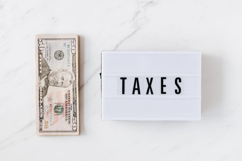 The Role of Government Policies in Startup Growth