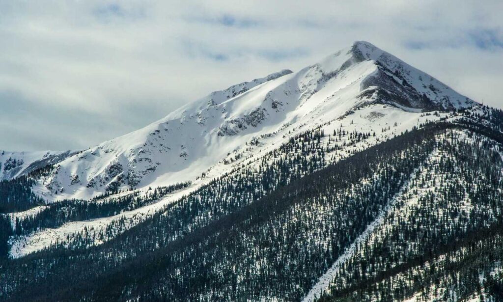 business guide aggr8investing