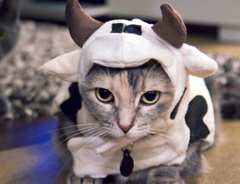 business ideas aggr8investing