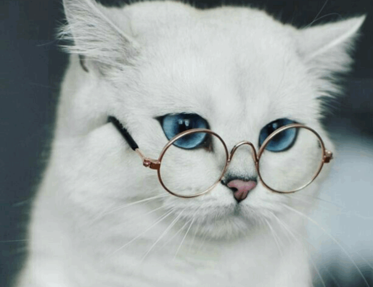 business properties aggr8investing