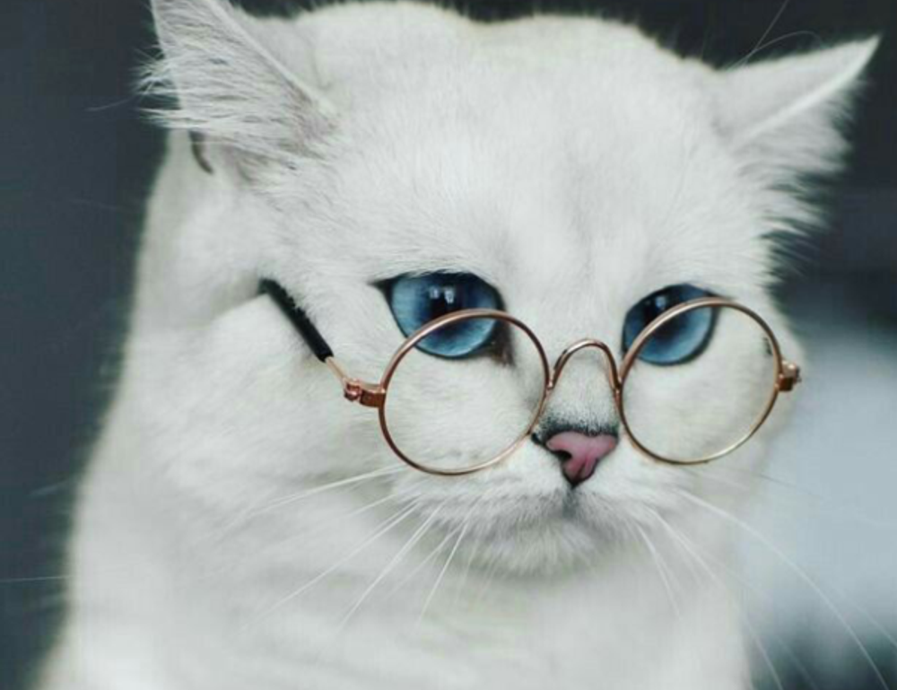 business properties aggr8investing