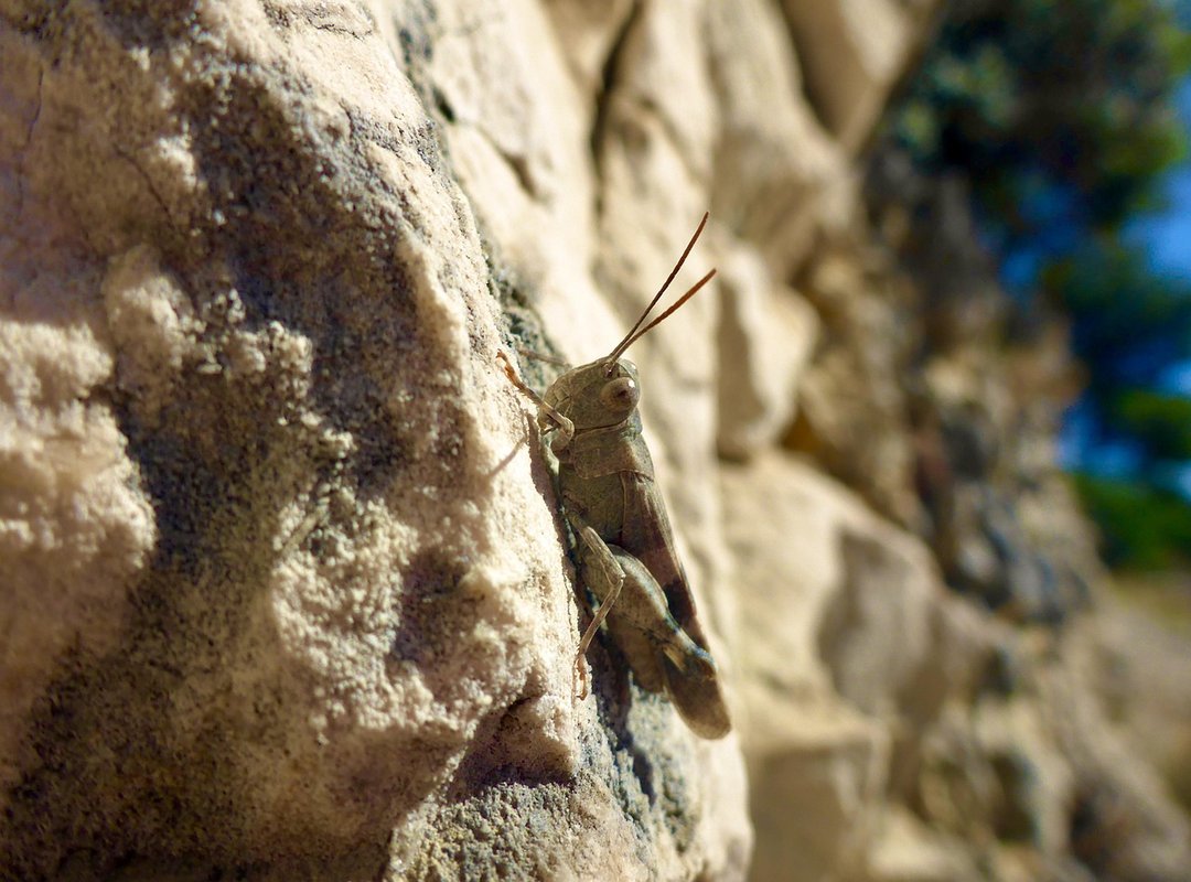 Which Investments Are the Best Wbinvestimize