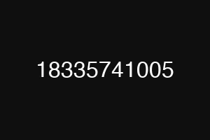 18335741005