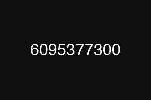 6095377300