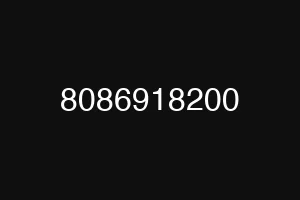 8086918200