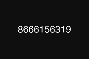 8666156319