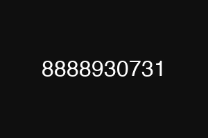 8888930731
