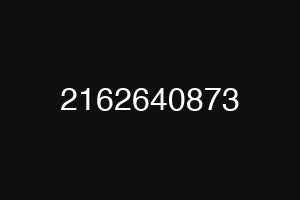 2162640873