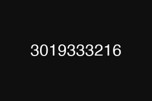 3019333216