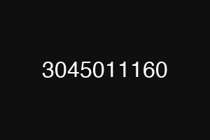 3045011160