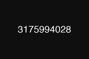 3175994028