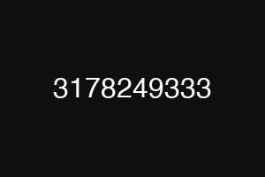 3178249333