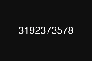 3192373578
