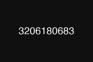 3206180683