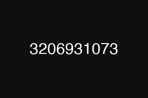 3206931073