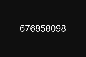 676858098