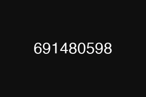 691480598