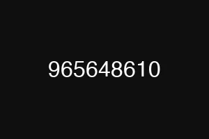 965648610